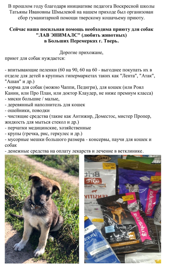 40 lfOxTZeY