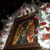 Флористические композиции к празднику Богоявления, 17-27 января 2018 г.
