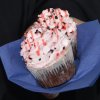 Свадьба выпускников ТЕПСОШ, 28.01.2018 г.